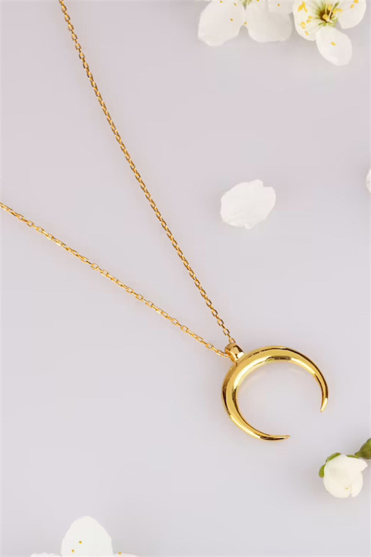 Silver Moon Necklace