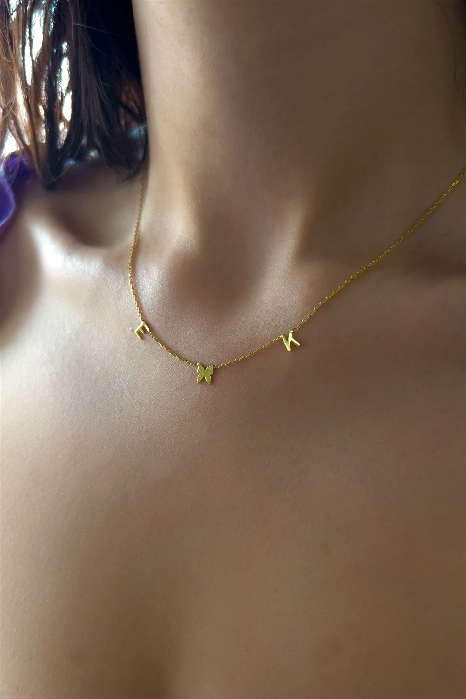 Collier initial papillon en argent