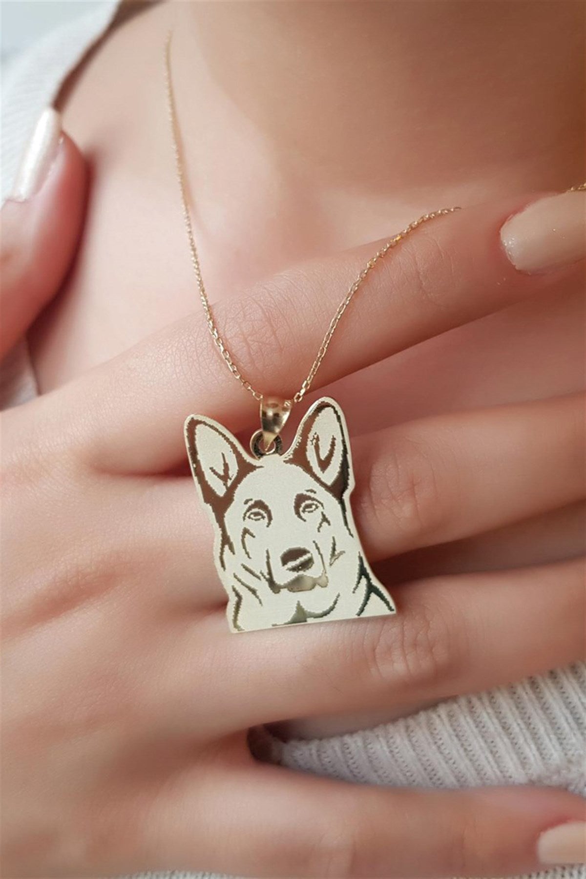 Collar de perro de plata