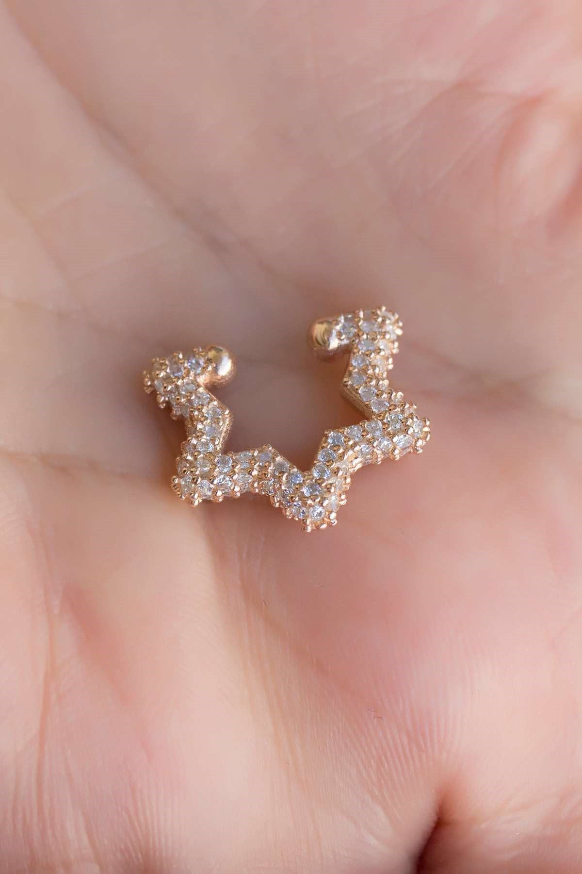 Silver Star Cartilage Earrings