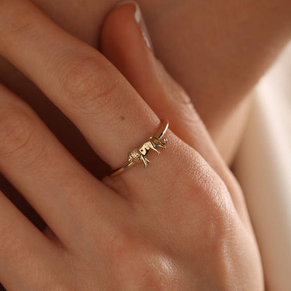 14K Solid Gold Leo Zodiac Sign Ring