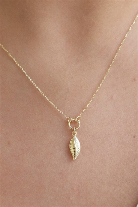 Collier feuille d'or massif | 14K (585) | 1,56 g